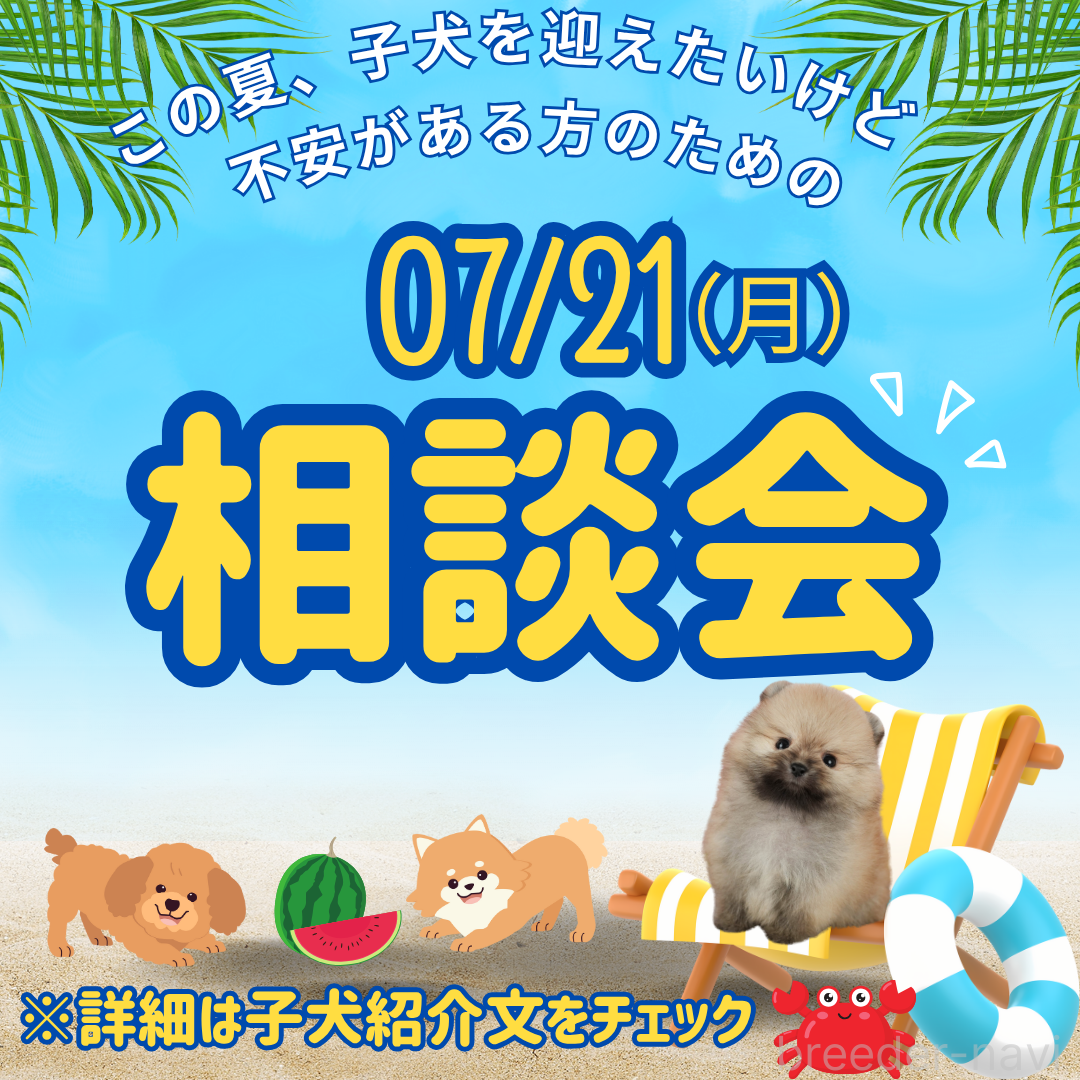 渡邊舞ブリーダー